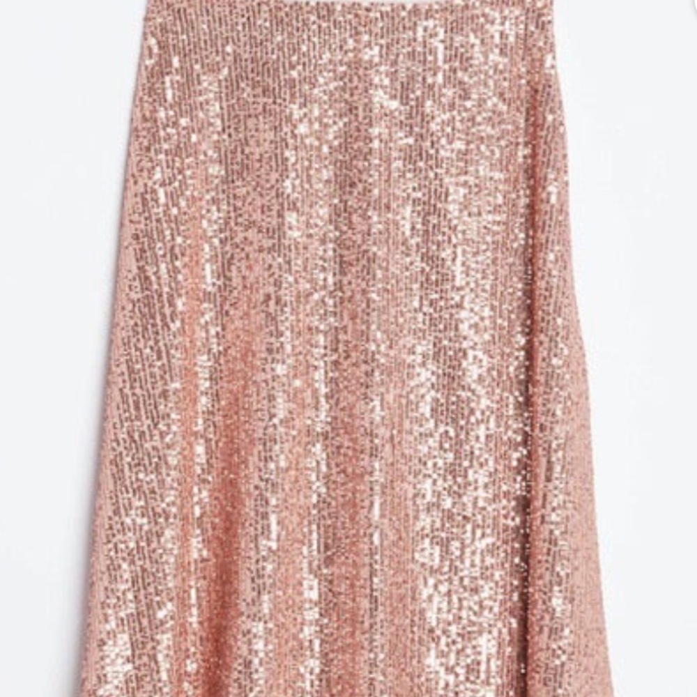 Loft Metallic Champagne Sequin Midi Skirt